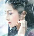 中国功夫手游私服送vip下载